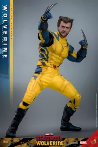 Deadpool & Wolverine Movie Masterpiece Action Figure 1/6 Wolverine (Deluxe Version) 31 cm Hot Toys