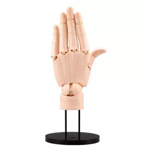 Takahiro Kagami PVC Artist Support Item Hand 1/1 Model/L Pale Orange 21 cm Kotobukiya