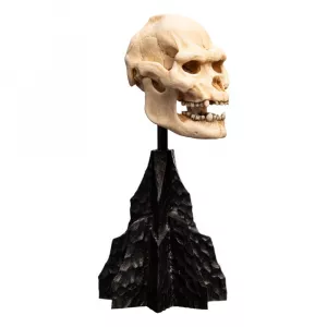 Lord of the Rings Mini Statue Skull of Lurtz 14 cm Weta Workshop