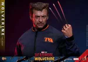 Deadpool & Wolverine Movie Masterpiece Action Figure 1/6 Wolverine (TVA Jacket Version) 31 cm Hot Toys