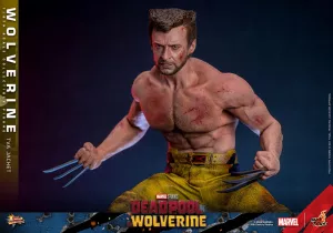 Deadpool & Wolverine Movie Masterpiece Action Figure 1/6 Wolverine (TVA Jacket Version) 31 cm Hot Toys